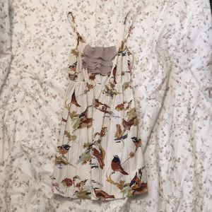 Anthropologie Eloise Dress in Cream